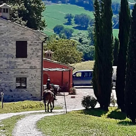 ベッド・アンド・ブレックファスト Horti Del Baio