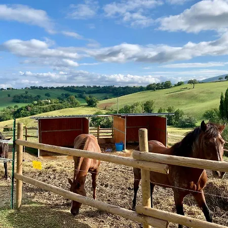 ベッド・アンド・ブレックファスト Horti Del Baio