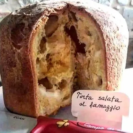 Horti Del Baio チンゴリ